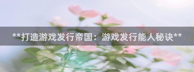 顺盈娱乐的员工待遇怎么样知乎：**打造游戏发行帝国：游戏发行能人秘诀**