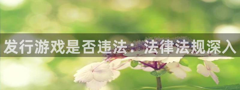 顺盈娱乐主管十7O777：发行游戏是否违法：法律法规深入