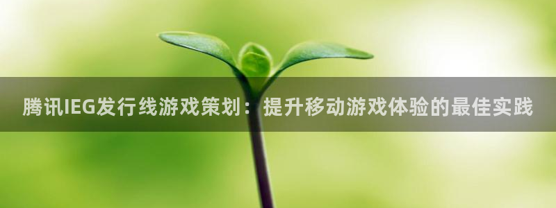 顺盈平台注册流程图：腾讯IEG发行线游戏策划：提升移动游戏体验的最佳实践