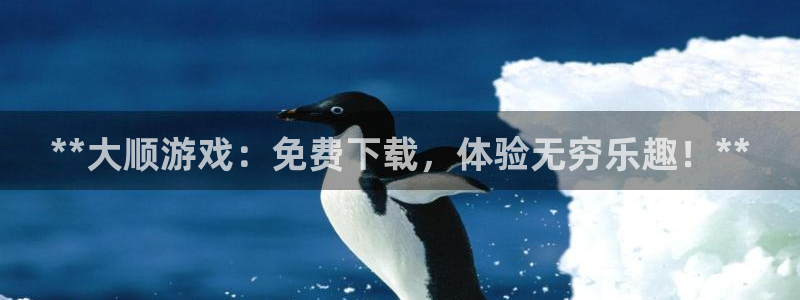 顺赢商贸有限公司：**大顺游戏：免费下载，体验无穷乐趣！**