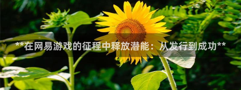 顺盈娱乐扣款成功了吗现在：**在网易游戏的征程中释放潜能：从发行到成功**