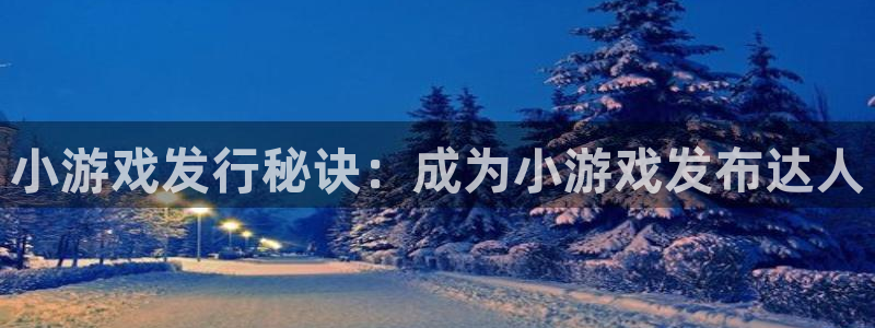 顺赢电子官网：小游戏发行秘诀：成为小游戏发布达人