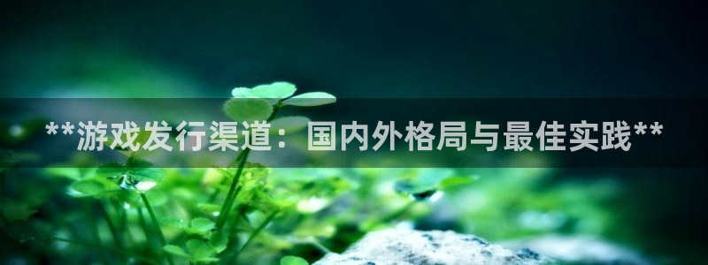 顺盈平台在线注册：**游戏发行渠道：国内外格局与最佳实践**