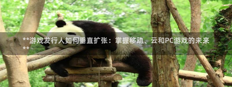 顺盈娱乐登录平台：**游戏发行人如何垂直扩张：掌握移动、云和PC游戏的未来
**