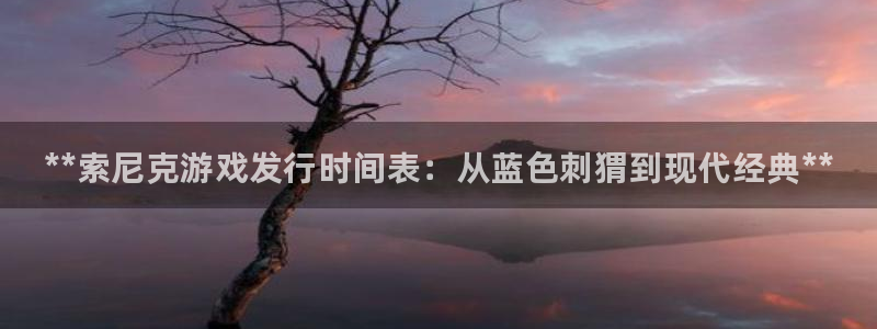 顺盈娱乐公司介绍图片高清