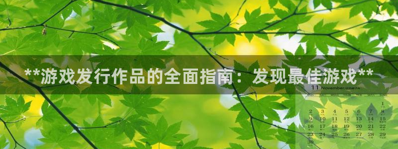 顺盈网络科技有限公司招聘：**游戏发行作品的全面指南：发现最佳游戏**