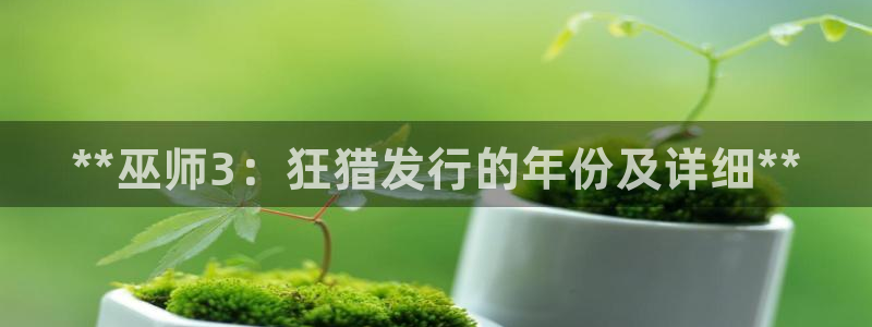 顺盈平台登陆：**巫师3：狂猎发行的年份及详细**