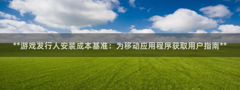 顺盈平台注册地址在哪：**游戏发行人安装成本基准：为移动应用程序获取用户指南**