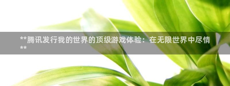 顺盈娱乐登录平台是什么意思：**腾讯发行我的世界的顶级游戏体验：在无限世界中尽情
**