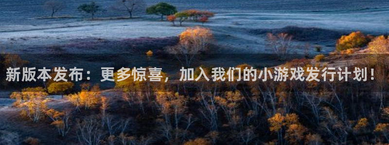 顺盈娱乐革7O777：新版本发布：更多惊喜，加入我们的小游戏发行计划！