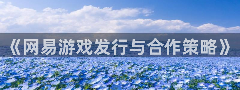 顺盈平台注册开户流程：《网易游戏发行与合作策略》