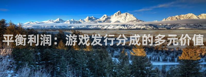 顺盈娱乐平台提现被关闭怎么回事儿啊安全吗：平衡利润：游戏发行分成的多元价值