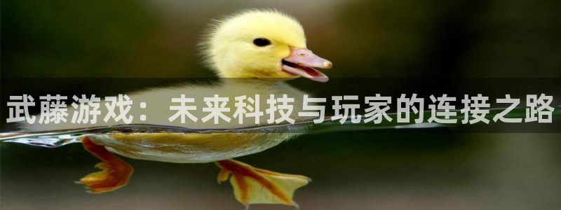 顺盈商贸有限公司：武藤游戏：未来科技与玩家的连接之路
