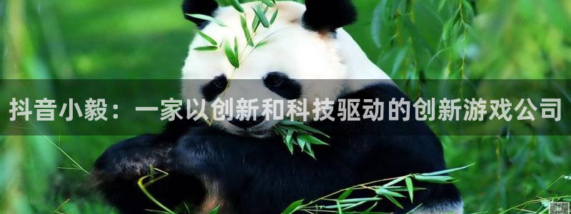 顺盈平台注册地址在哪看：抖音小毅：一家以创新和科技驱动的创新游戏公司