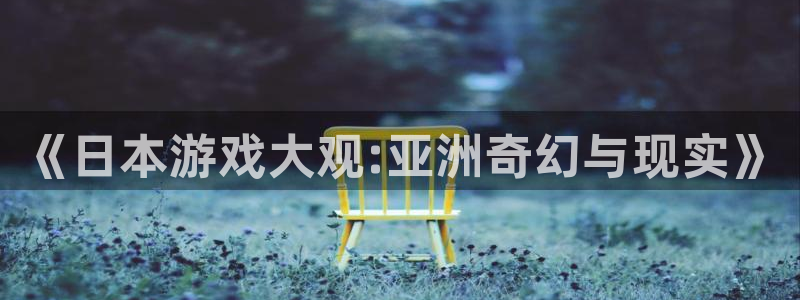 顺盈娱乐的员工待遇怎么样呀：《日本游戏大观:亚洲奇幻与现实》